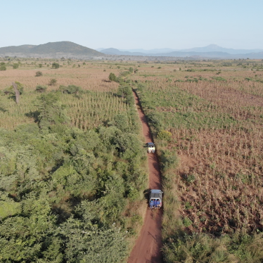 Mozambique Landscape