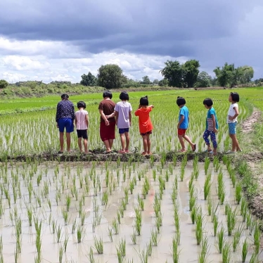 Rice Field_GROW campus