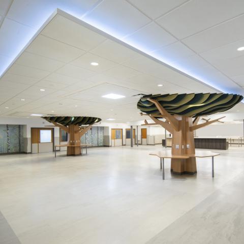 Ventilator Program Addition at the Hattie Larlham Center